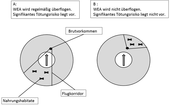 ((Die Darstellung der Abbildung ist noch in Arbeit.))